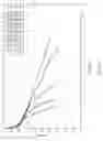 Fig. 44 - Fabrication of electrodes with multiple nanostructured thin catalytic layers