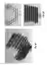 Fig. 06 - NANOSCALE MOLECULE SYNTHESIS