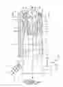 Fig. 02 - AIR FLARE APPARATUS AND METHOD