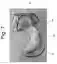 Fig. 08 - Tongue block