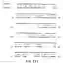 Fig. 293 - Novel genes encoding proteins having prognostic, diagnostic, preventive, therapeutic, and other uses