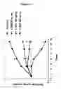 Fig. 02 - NOVEL MARKER FOR SENSITIVITY AGAINST SULFONAMIDE COMPOUND