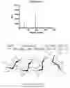 Fig. 01 - Method for the detection of human immunodeficiency virus envelope (HIV) glycoprotein utilizing carbohydrate binding module (CBM) 20 or 21