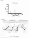 Fig. 02 - Method for the detection of human immunodeficiency virus envelope (HIV) glycoprotein utilizing carbohydrate binding module (CBM) 20 or 21