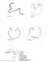 Fig. 02 - METHOD FOR INTRODUCING COMMON AND/OR INDIVIDUAL SEQUENCE ELEMENTS IN A TARGET NUCLEIC ACID MOLECULE