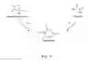 Fig. 07 - Process for preparing methacrylic acid or methacrylic esters