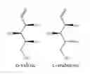 Fig. 01 - Xylose reductase mutants and uses thereof