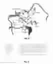 Fig. 06 - Xylose reductase mutants and uses thereof