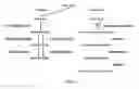 Fig. 03 - Oxidation of compounds using genetically modified 