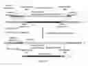 Fig. 10 - Oxidation of compounds using genetically modified 