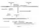 Fig. 11 - Oxidation of compounds using genetically modified 