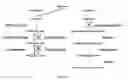 Fig. 16 - Oxidation of compounds using genetically modified 