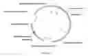 Fig. 23 - Oxidation of compounds using genetically modified 