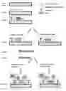Fig. 01 - BIOCOMPATIBLE THREE DIMENSIONAL MATRIX FOR THE IMMOBILIZATION OF BIOLOGICAL SUBSTANCES