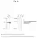 Fig. 03 - Reagent for introduction of protein or gene