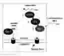 Fig. 01 - Alternative export pathways for vector expressed RNA interference