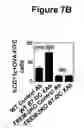 Fig. 10 - IgM-mediated receptor clustering and cell modulation