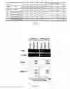 Fig. 02 - REDUCER OF IMMUNOSUPPRESSION BY TUMOR CELL AND ANTITUMOR AGENT USING THE SAME
