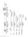 Fig. 08 - METHODS AND COMPOSITIONS FOR INHIBITION OF MEMBRANE FUSION-ASSOCIATED EVENTS, INCLUDING HIV TRANSMISSION