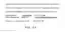 Fig. 48 - METHODS AND COMPOSITIONS FOR INHIBITION OF MEMBRANE FUSION-ASSOCIATED EVENTS, INCLUDING HIV TRANSMISSION