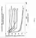 Fig. 19 - SYSTEM FOR TRANSPOSING HYPERACTIVE RECOMBINANT DERIVATIVES OF MOS-1 TRANSPOSON