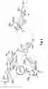 Fig. 07 - Lanthanide Complexes as Fluorescent Indicators for Neutral Sugars and Cancer Diagnosis