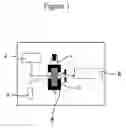 Fig. 02 - Process For Detecting Nucleic Acids