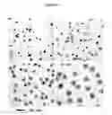 Fig. 02 - Coated colloidal materials