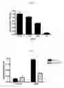 Fig. 07 - ANTIGEN EXPOSING MICELLE AND UNORDERED AGGREGATE