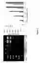 Fig. 02 - Multiplexed Scanometric Assay for Target Molecules