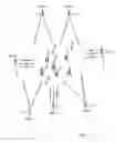 Fig. 02 - COGNITIVE NETWORK