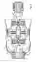 Fig. 07 - Universal joint with improved ball lubrication