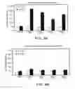 Fig. 08 - Polypeptides and methods of use