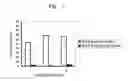 Fig. 02 - Dimerized peptide