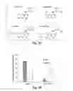 Fig. 09 - METHODS FOR IDENTIFYING COMPOUNDS THAT MODULATE NEUROTROPHIC FACTOR SIGNALING