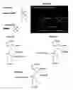 Fig. 07 - NOVEL SIRNA STRUCTURES