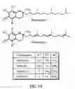Fig. 16 - IMPROVED THERAPEUTIC METHODS AND COMPOSITIONS COMPRISING CHROMAN RING COMPOUNDS