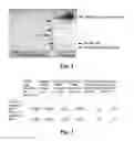 Fig. 02 - SILK MEDICAL DEVICE WITH ANTIMICROBIAL PROPERTIES AND A METHOD OF MANUFACTURE THEREOF