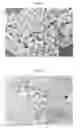Fig. 02 - Filler material for crowns, crown material containing same, and method of manufacturing thereof