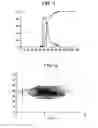 Fig. 02 - PROCESS FOR PREPARING COPOLYMERS AND BLEND COMPOSITIONS CONTAINING THE SAME