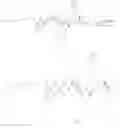 Fig. 167 - POLYMERS FOR POLYNUCLEOTIDE ENCAPSULATION