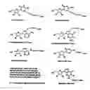 Fig. 01 - Modified nucleotides