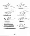 Fig. 02 - Modified nucleotides