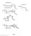 Fig. 03 - Modified nucleotides