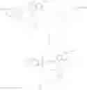 Fig. 11 - Modified nucleotides