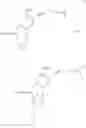 Fig. 15 - Modified nucleotides