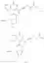 Fig. 19 - Modified nucleotides