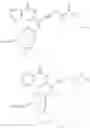Fig. 20 - Modified nucleotides