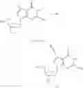 Fig. 25 - Modified nucleotides