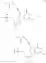 Fig. 27 - Modified nucleotides